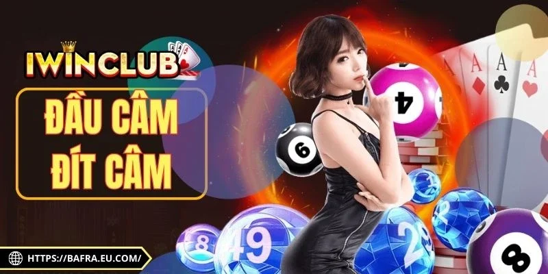 Đầu Câm Đít Câm - Bí Kíp Chọn Lô An Toàn, Ít Rủi Ro